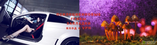 стаф Магадан