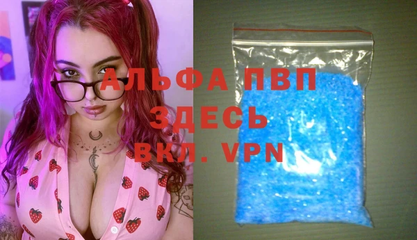 сатива Весьегонск