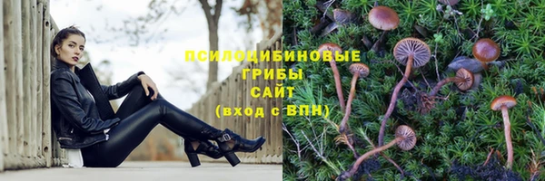 прущая мука Майский