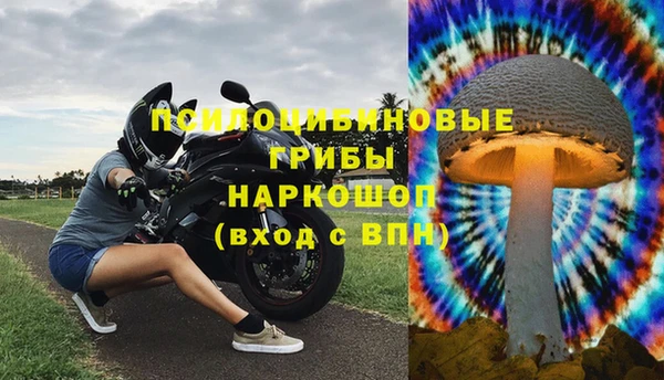 стаф Магадан