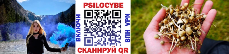 Галлюциногенные грибы прущие грибы  Нерчинск 